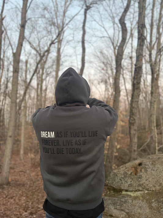 HighDream “Dream As If” Premium Grey Hoodie – 450gsm Luxury Fleece