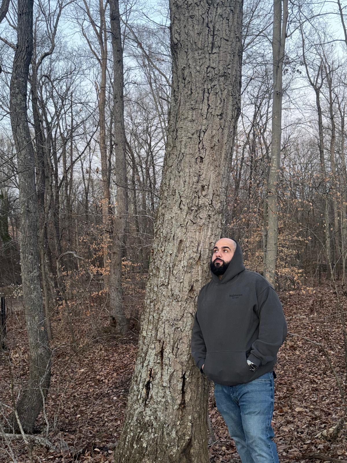 HighDream “Dream As If” Premium Grey Hoodie – 450gsm Luxury Fleece