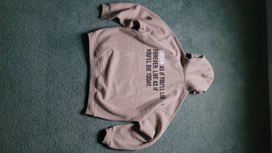 HighDream “Dream As If” Premium Sand Hoodie – 450gsm Luxury Fleece